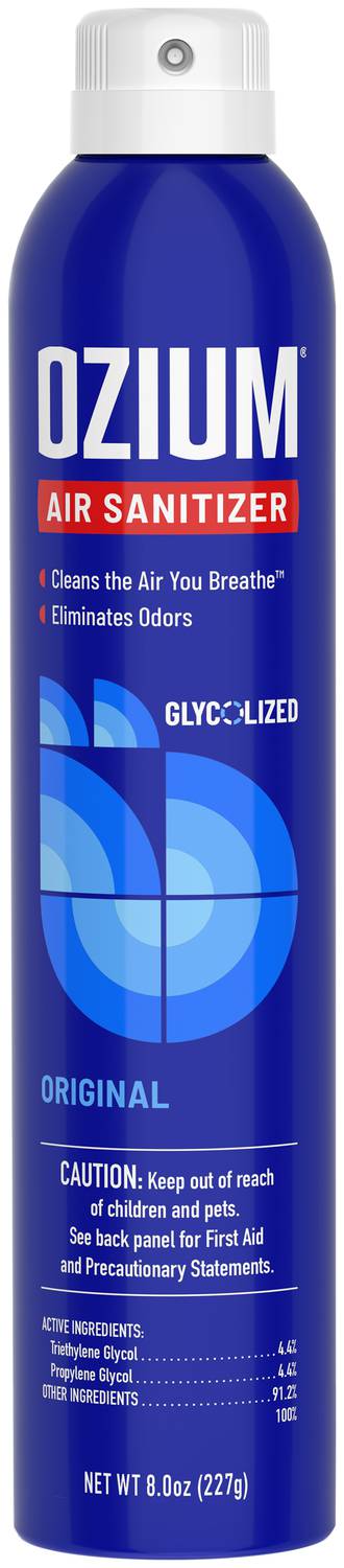Auto Expressions 8 Ounce Original Spray Air Sanitizer 805539 | O
