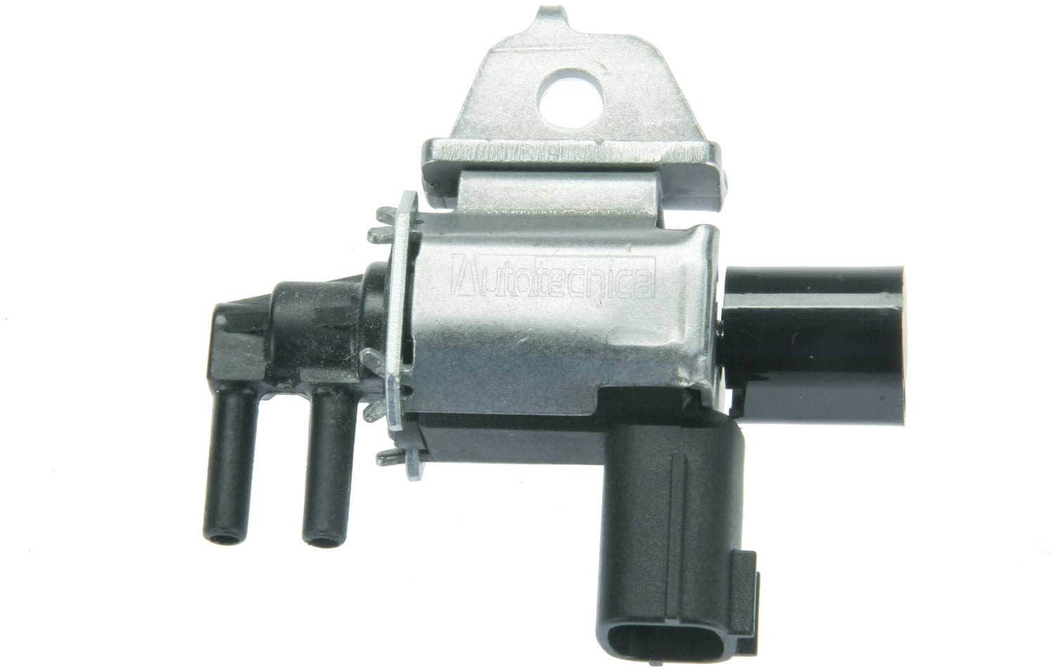 F.Nao　0507 ni0515467.jpg