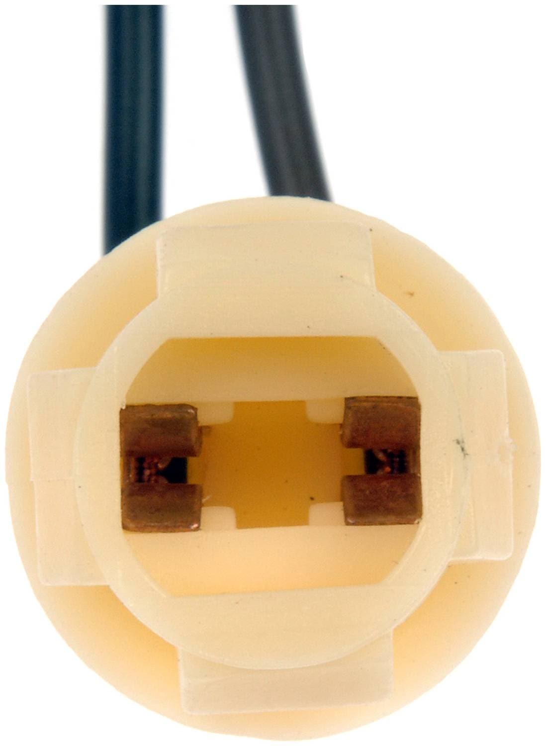Dorman Conduct-Tite Bulb Socket 85816 | O'Reilly Auto Parts