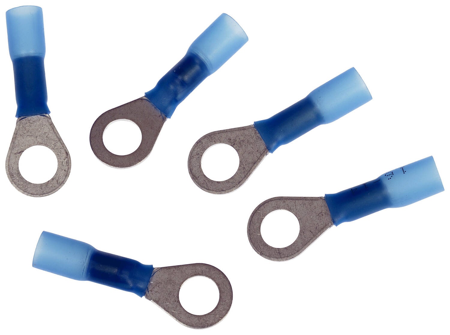 RING【Froid Tiédeur】 Dorman Conduct-Tite 16-14 Gauge Blue Ring Terminal 86537 | O