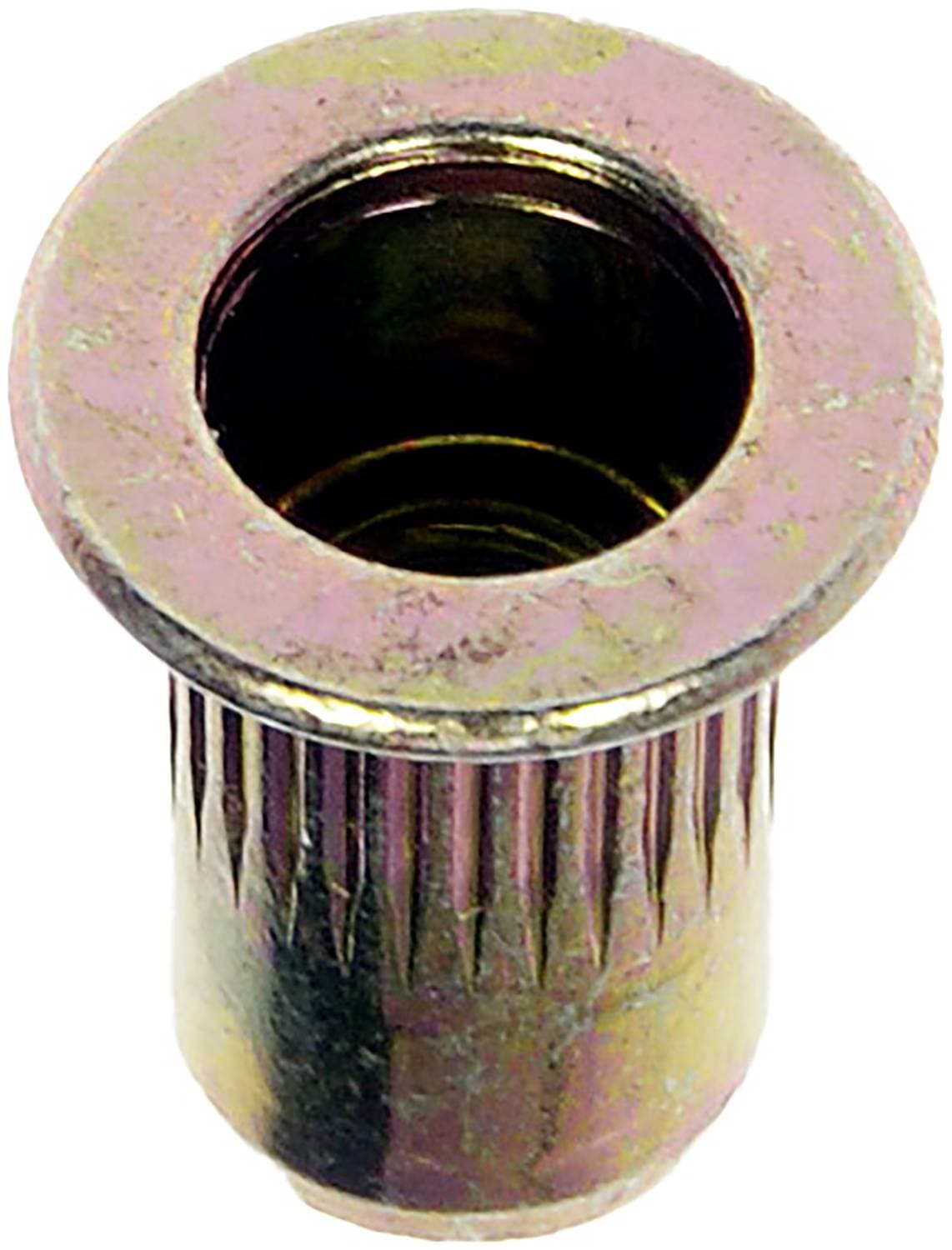 Dorman Rivet Nut 963258BX | O'Reilly Auto Parts
