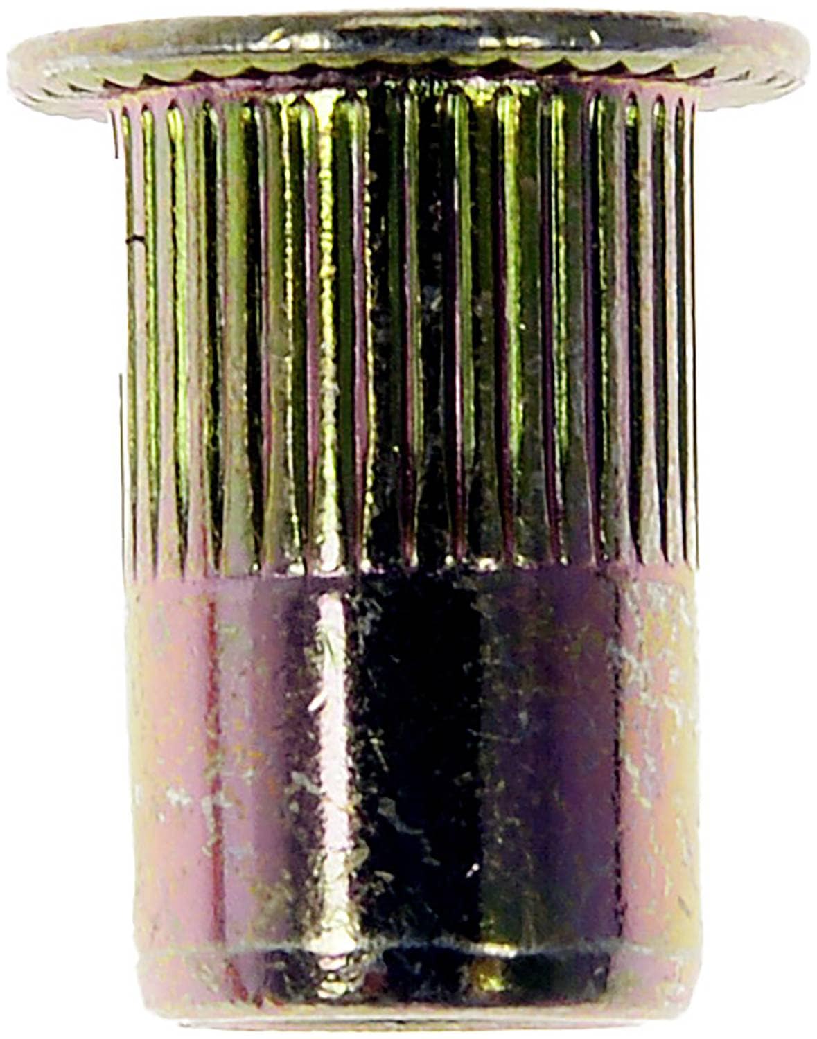 Dorman Rivet Nut 963281D | O'Reilly Auto Parts