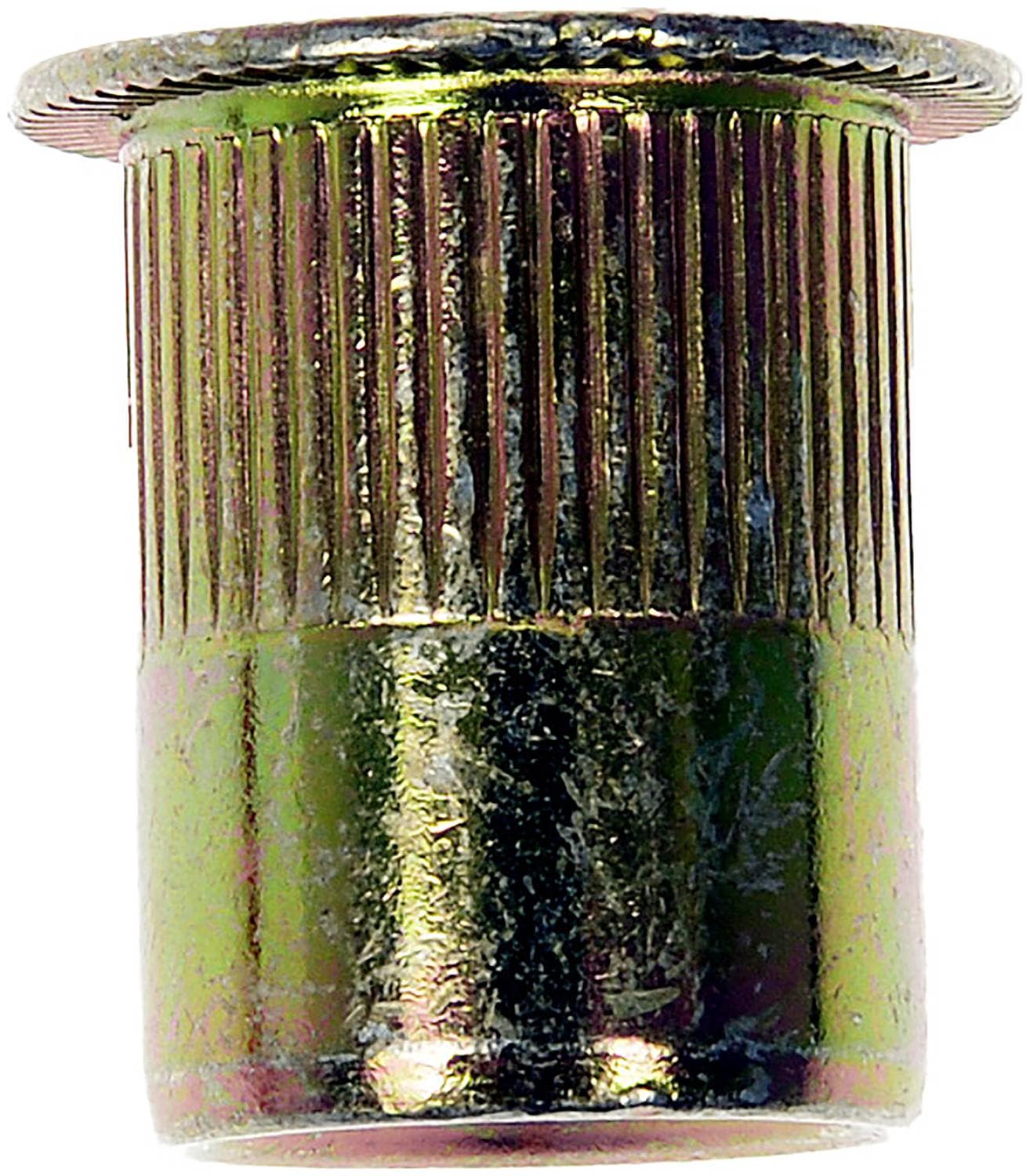 Dorman Rivet Nut 963282BX | O'Reilly Auto Parts