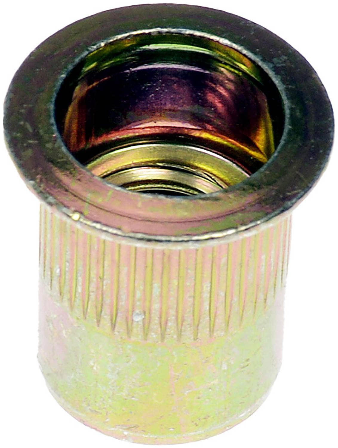 Dorman Rivet Nut 963282BX | O'Reilly Auto Parts