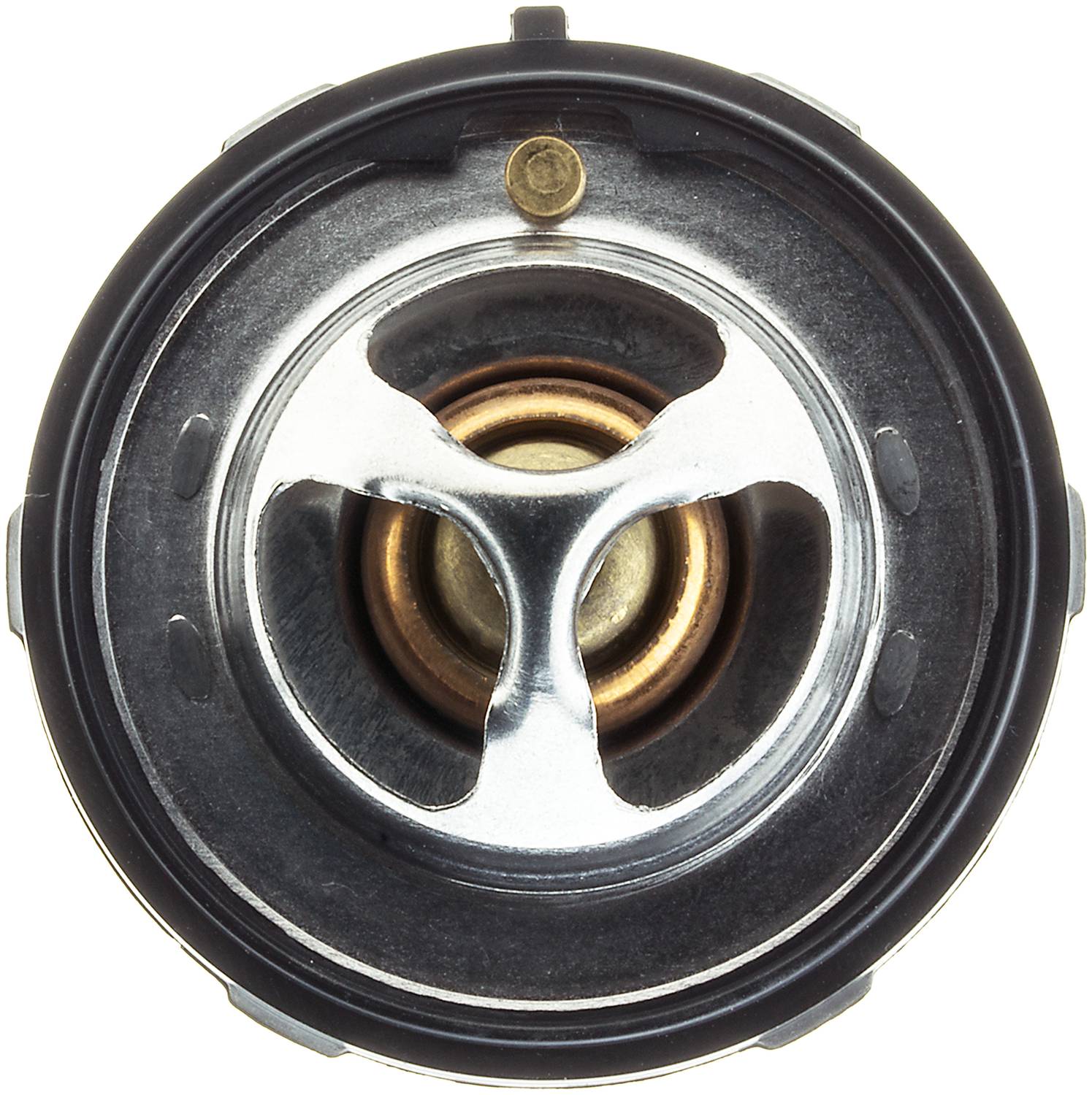 52374_top.jpg