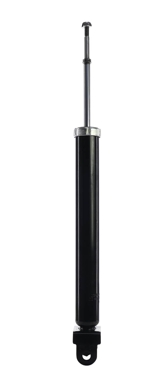 ns100_20.jpg