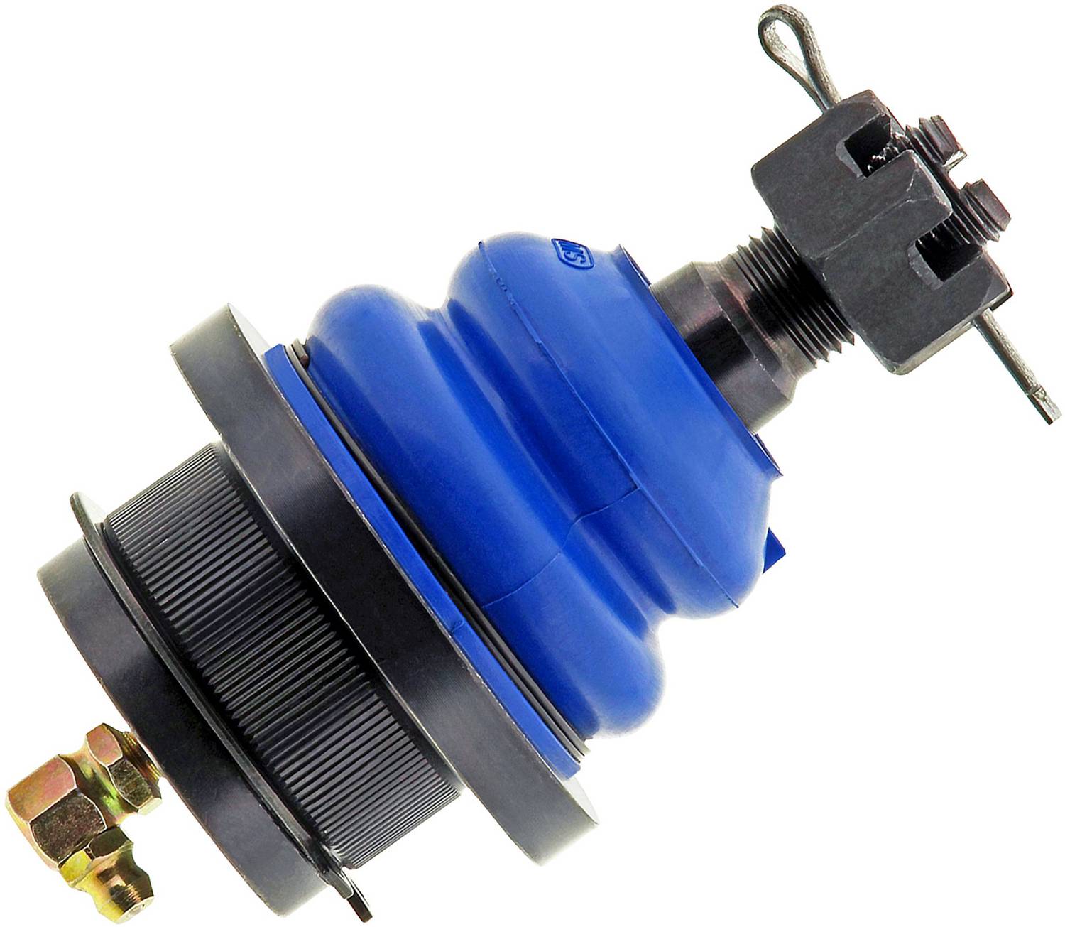 k8695_fro.jpg