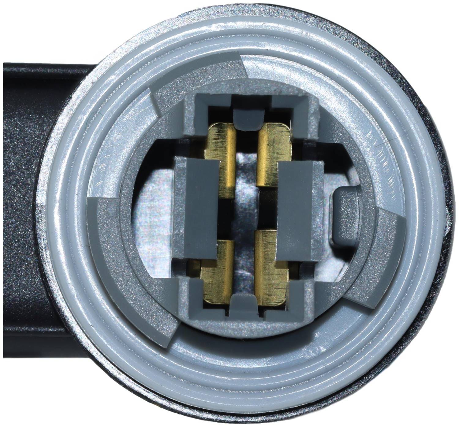 PanasoniLet’snoteSV9Corei7-10510UCPU1.80 Standard Ignition 3 Terminal Multi-Purpose Light Socket S879 | O
