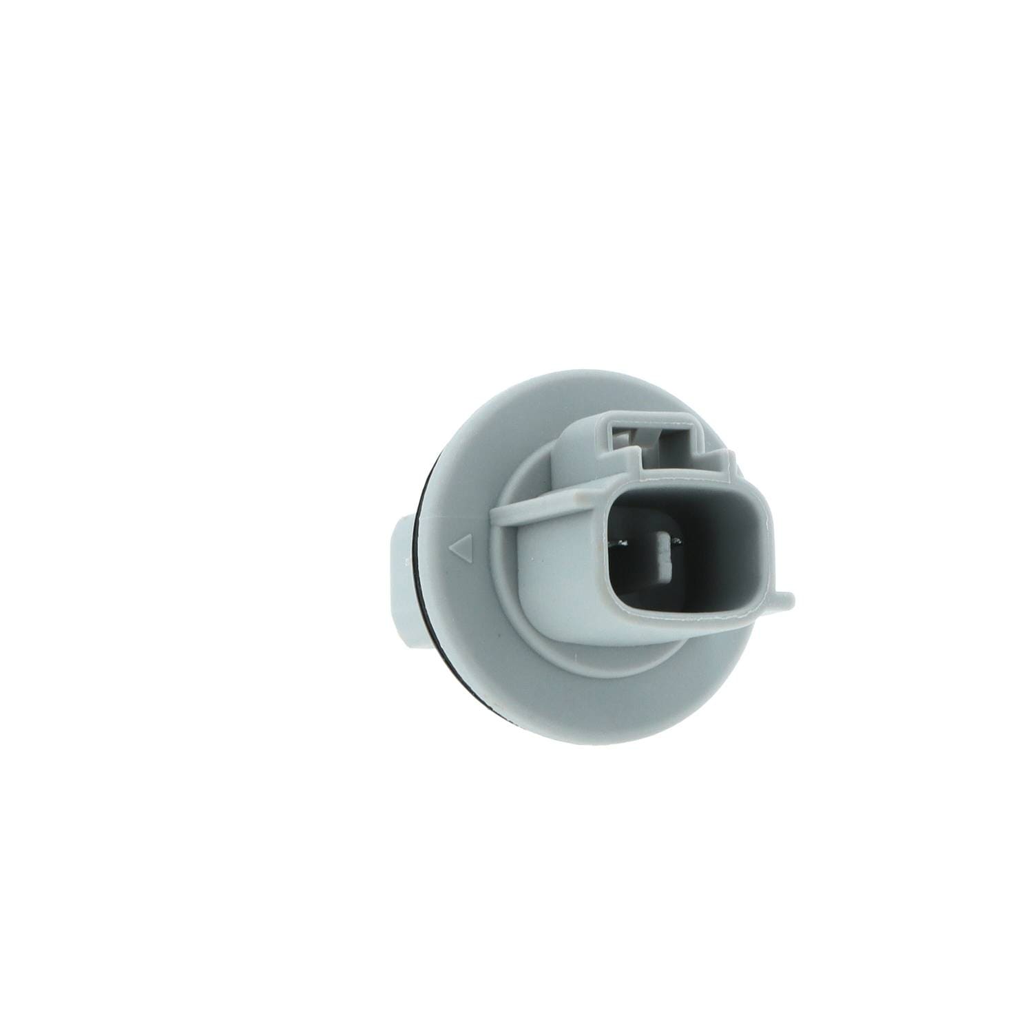 Standard Ignition 2 Terminal Turn Signal Light Socket S2653 | O
