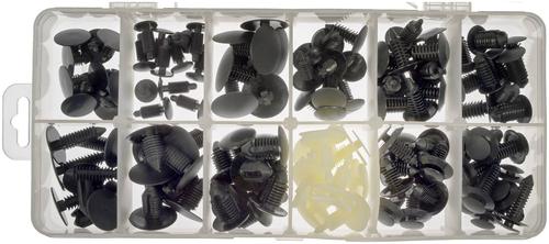Dorman Body Fastener Assortment 030742 | O'Reilly Auto Parts