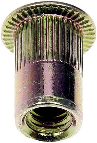 Dorman Rivet Nut 963281D | O'Reilly Auto Parts