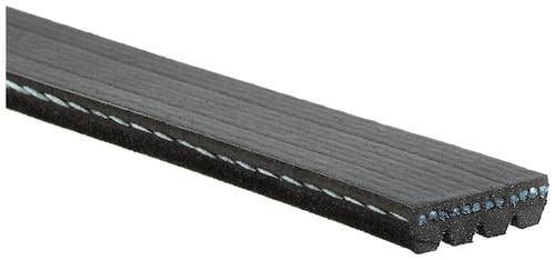 ベルト Y/PROJECT 15-16fw Single Accessory Belt Gates Micro-V Serpentine Belt 4 Rib 27-15/16 Inch K040274 | O
