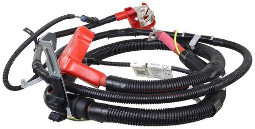 Motorcraft 8 Gauge 68-5/16 Inch Eyelet Starter Cable WC95681 | O