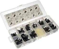 Dorman Body Fastener Assortment  image