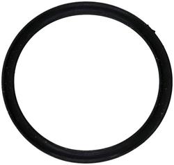 Fel-Pro Thermostat Gasket  image