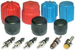 Murray Climate Control A/C Cap And Valve Kit  image