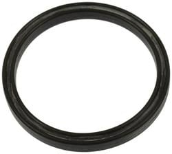 Standard Ignition Vapor Canister Seal  image