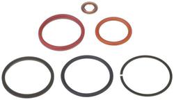Standard Ignition Fuel Injector Seal Kit  image