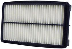 WIX Panel Air Filter  image