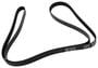 ACDelco Serpentine Belt 6 Rib 82-13/16 Inch