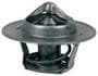 ACDelco 195 Degree Thermostat
