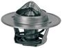 ACDelco 195 Degree Thermostat