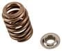 ACDelco Valve Spring Kit