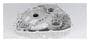 ACDelco A/T Torque Converter And Differential Housing