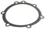 ACDelco Water Pump Gasket