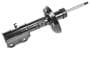 ACDelco Strut