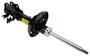ACDelco Strut