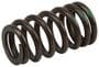 ACDelco Valve Spring