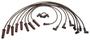 ACDelco Spark Plug Wire Set