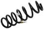 ACDelco Coil Spring