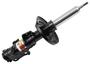 ACDelco Strut