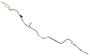 ACDelco Stainless Steel Fuel Feed Line