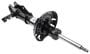 ACDelco Strut