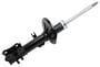 ACDelco Strut