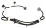 ACDelco Tail Light Harness