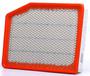 ACDelco Irregular Pentagon Air Filter