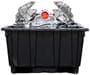 Aesop Auto Parts Engine