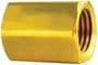 American Grease Stick Brake Line Union Fitting