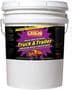 Purple Power 5 Gallon Car Wash