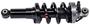 Amity Strut Assembly