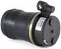 Arnott Air Suspension Air Spring