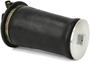 Arnott Air Suspension Air Spring