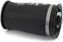 Arnott Air Suspension Air Spring