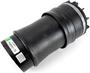Arnott Air Suspension Air Spring