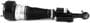 Arnott Air Suspension Air Strut