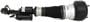 Arnott Air Suspension Air Strut